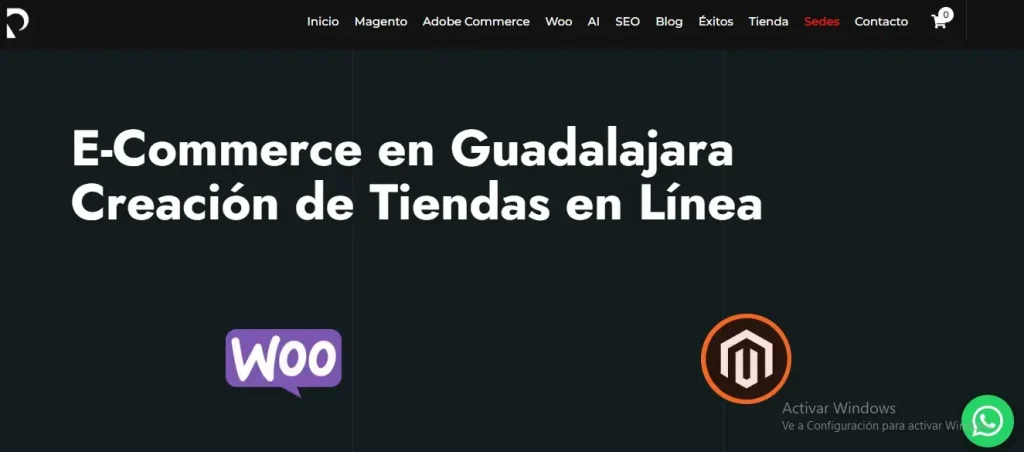 Top 10 Agencias de E-commerce Guadalajara Agencia Panamerik Ecommerce
